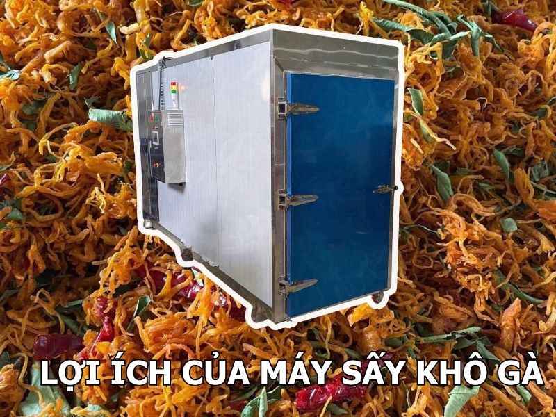 Loi-ich-cua-may-say-kho-ga